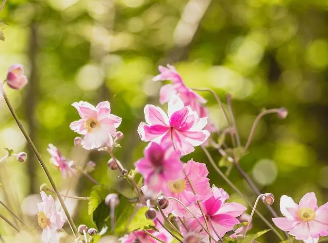 Casa de hóspedes Gaestehaus Waldruh Gerlos