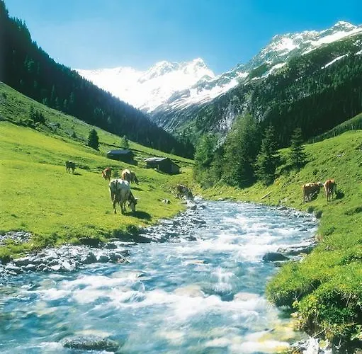 Gaestehaus Waldruh Guest house